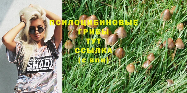 MDMA Premium VHQ Белокуриха