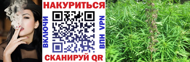 Канабис сатива  Купить закладки  Осташков 